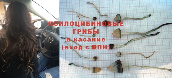 прущая мука Алексин