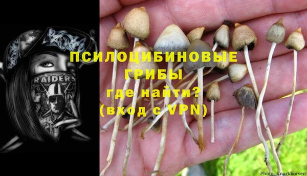 прущая мука Алексин